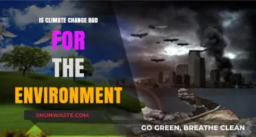 Climate Change's Devastating Impact: Is Our Environment at Risk?