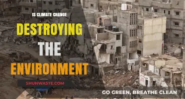 Climate Change's Devastating Impact: Is Our Environment Beyond Saving?