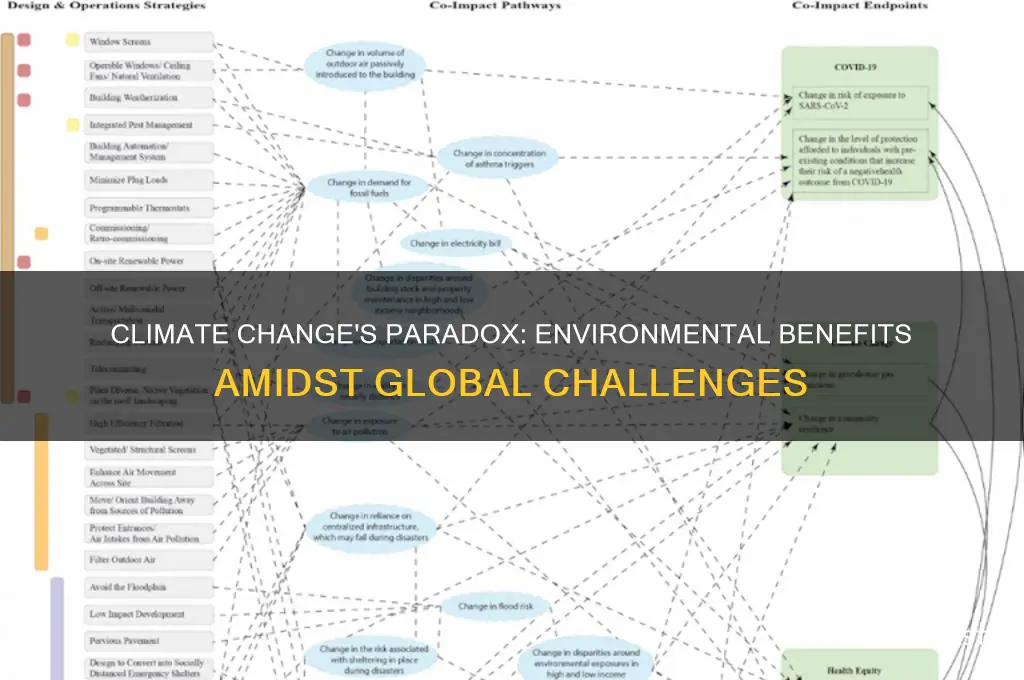 is climate change good for the environment