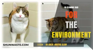 Cloning's Environmental Impact: Sustainable Practice or Ecological Threat?