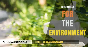 Is Clorox Harming Our Planet? Environmental Impact Explored