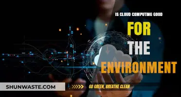 Cloud Computing's Environmental Impact: Green Revolution or Hidden Costs?