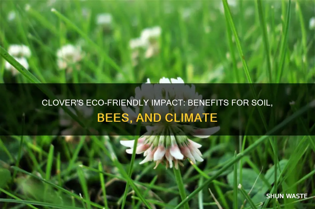 is clover good for the environment