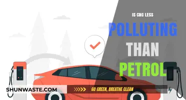CNG vs Petrol: Which Fuel Pollutes Less?