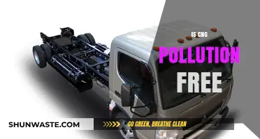 CNG: A Clean Energy Source?