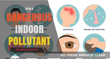 Carbon Monoxide: A Silent, Deadly Indoor Threat