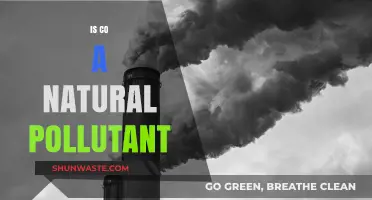 CO: A Natural Pollutant or Not?
