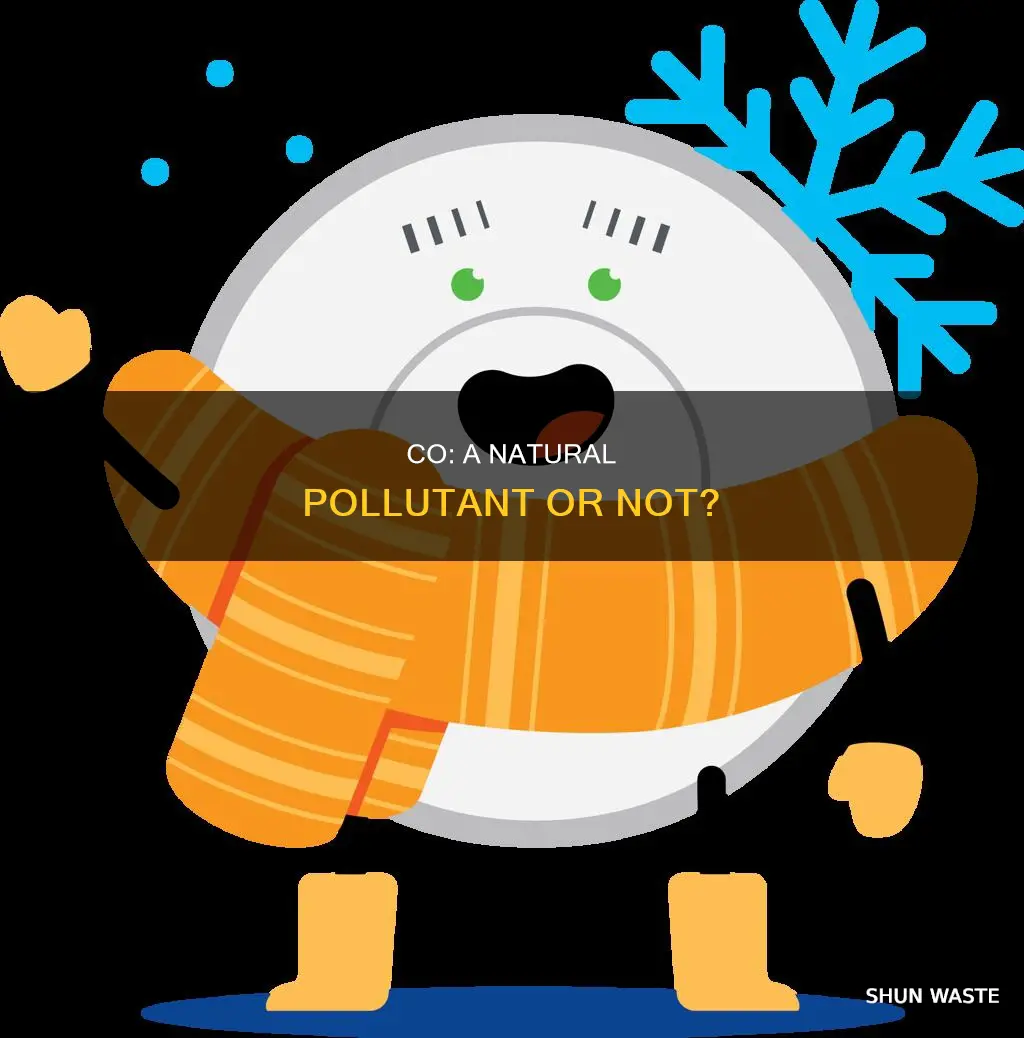 is co a natural pollutant