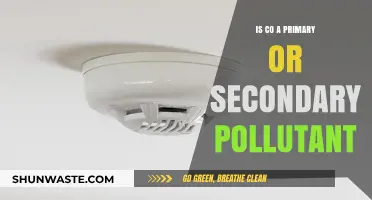 Understanding CO: Primary or Secondary Pollutant?