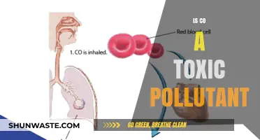 Carbon Monoxide: A Silent, Deadly Pollutant