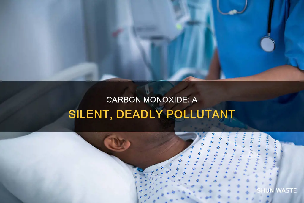 is co a toxic pollutant