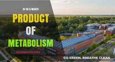 Is CO a Waste Product of Metabolism? Exploring the Science