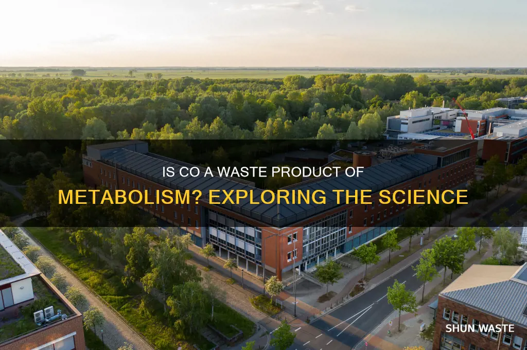 is co a waste product of metabolism