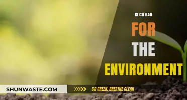 Is Carbon Monoxide a Silent Environmental Threat? Exploring Its Impact