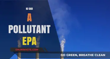 CO2: Friend or Foe?