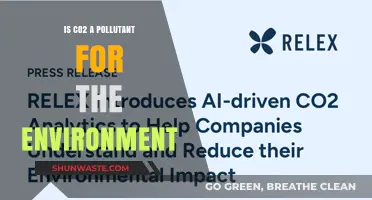 The CO2 Conundrum: Polluting Our Planet?