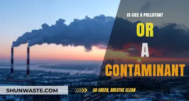 The Truth About CO2: Pollutant or Contaminant?