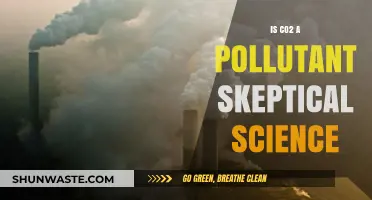CO2: Pollutant or Not? The Science Behind Carbon Dioxide