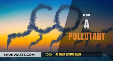 The Truth About Carbon Dioxide: Pollutant or Not?