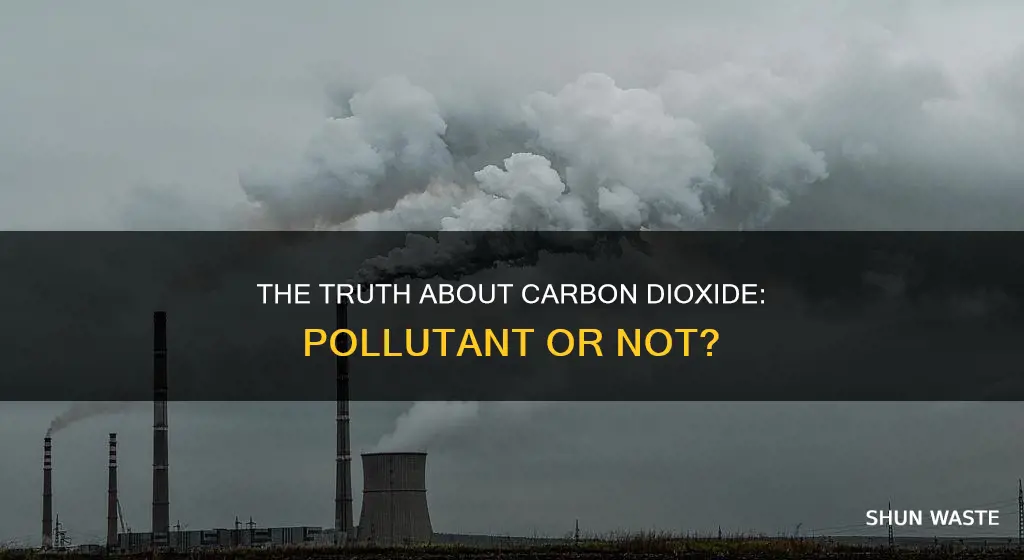 is co2 a pollutant