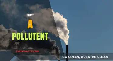 The Truth About Carbon Dioxide: Pollutant or Not?