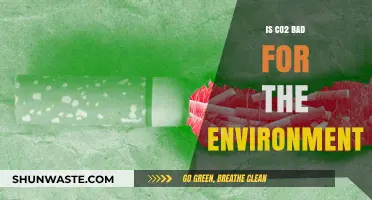 Is CO2 Harmful? Unraveling Its Environmental Impact and Consequences