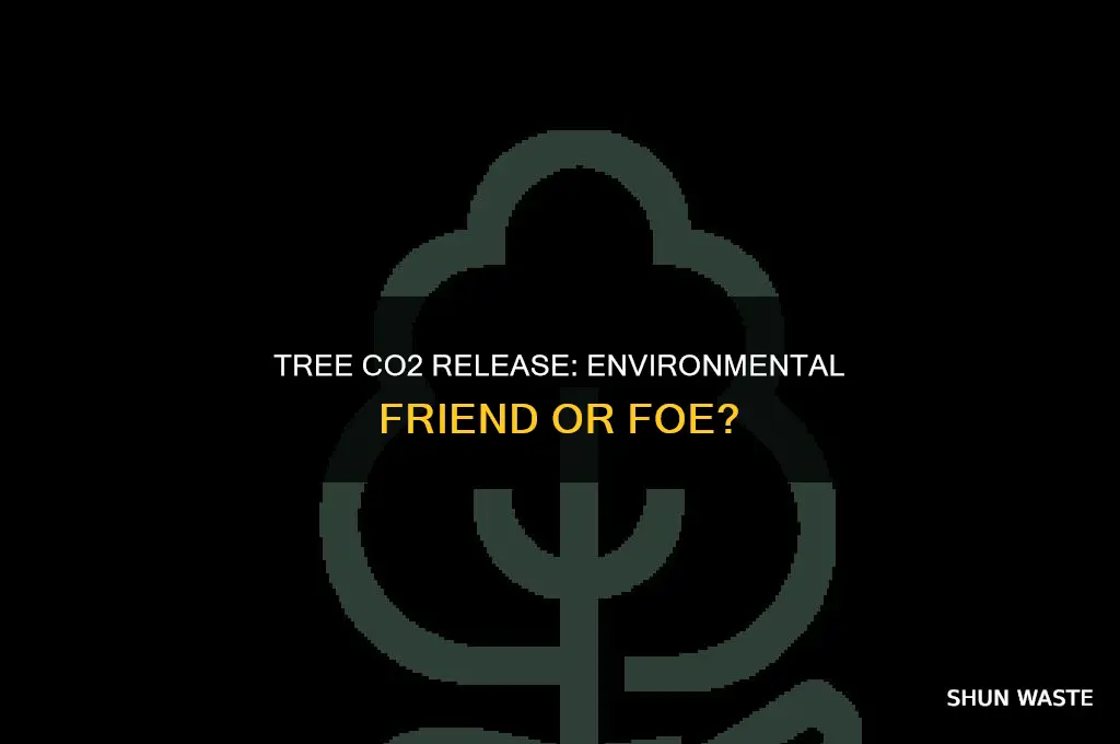 is co2 from trees good for the environment