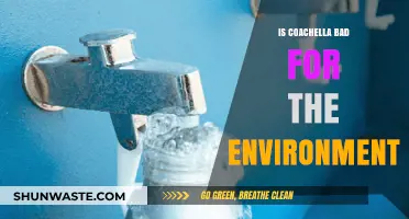Coachella's Environmental Impact: Sustainable Festival or Eco-Disaster?