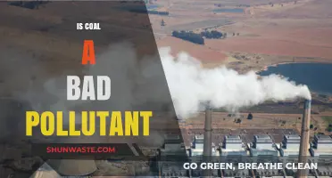 Coal Pollution: How Bad Is It?