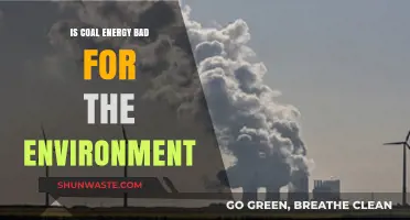 Coal Energy's Environmental Impact: Harmful Effects and Sustainable Alternatives