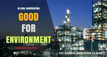 Coal Gasification: Environmental Savior or Hidden Ecological Threat?