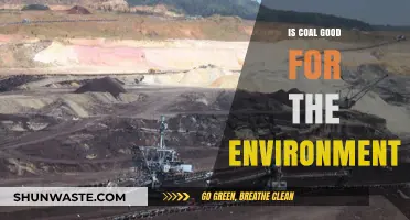 Coal's Environmental Impact: Benefits, Drawbacks, and Sustainable Alternatives Explored