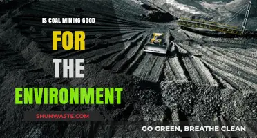 Coal Mining's Environmental Impact: Benefits or Detriment to Our Planet?