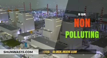 The Clean Coal Myth: Debunked