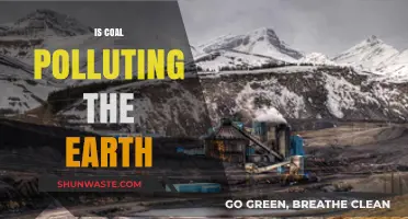 Coal's Pollution Legacy: A Global Crisis