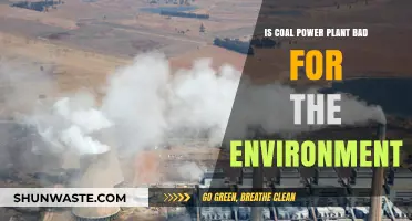 Coal Power Plants: Environmental Impact and Sustainable Alternatives Explored
