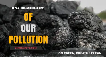 Coal's Pollution Legacy: What's the Truth?