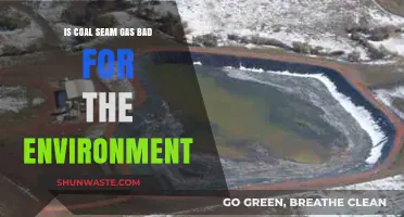 Coal Seam Gas: Environmental Impact and Sustainability Concerns Explored