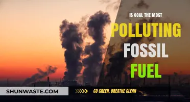 Coal: Most Polluting Fossil Fuel?