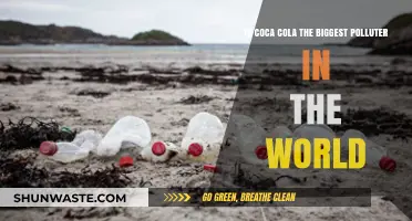 Coca-Cola: World's Biggest Polluter?