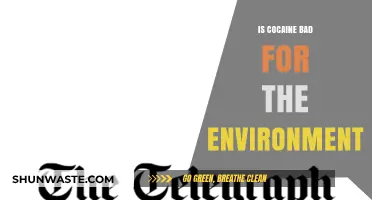 Cocaine's Hidden Cost: Environmental Impact and Ecological Consequences Explored