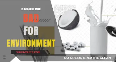 Coconut Milk's Environmental Impact: Sustainable Choice or Eco-Friendly Myth?