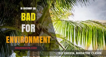 Coconut Oil's Environmental Impact: Sustainable Choice or Ecological Threat?