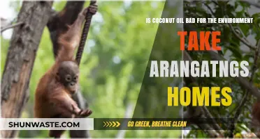 Coconut Oil's Environmental Impact: Threatening Orangutan Habitats and Ecosystems