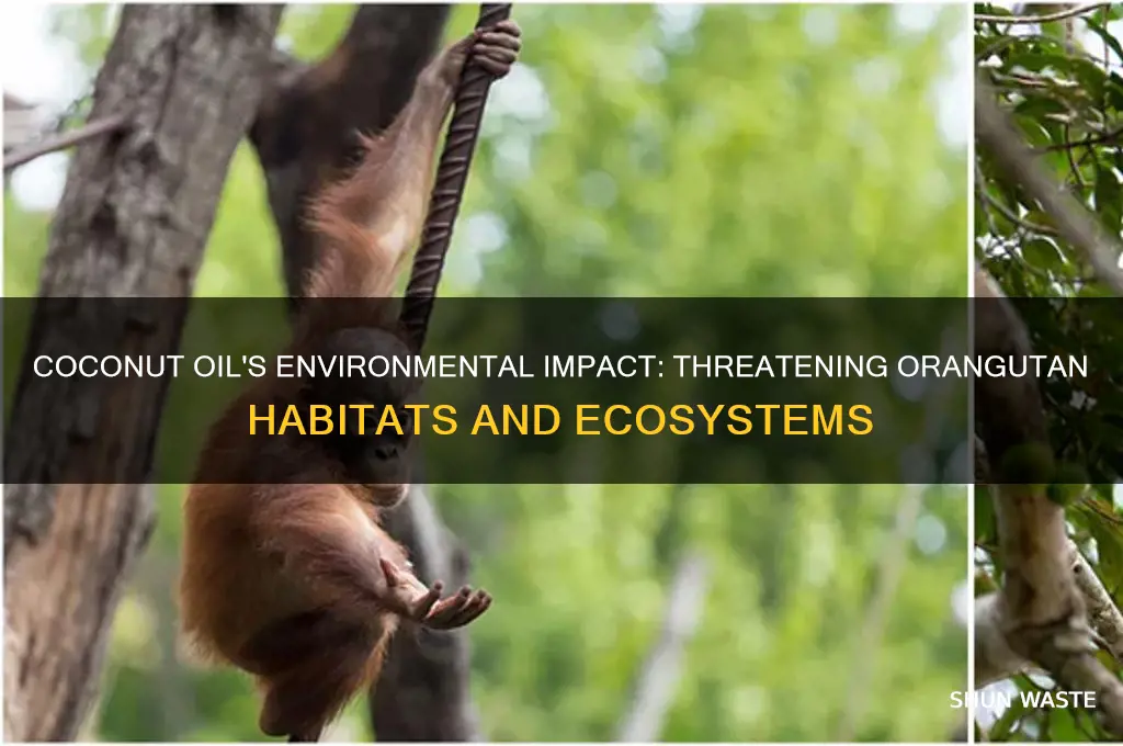 is coconut oil bad for the environment take arangatngs homes