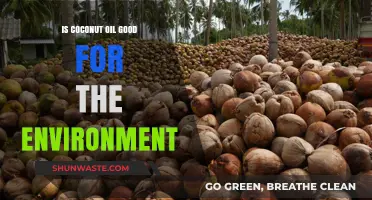 Coconut Oil's Environmental Impact: Sustainable Choice or Ecological Concern?