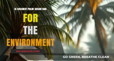 Coconut Palm Sugar: Eco-Friendly Sweetener or Environmental Concern?
