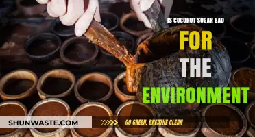 Coconut Sugar's Environmental Impact: Sustainable Sweetener or Eco-Threat?