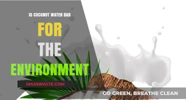 Coconut Water's Environmental Impact: Sustainable or Harmful Choice?