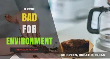 Coffee's Environmental Impact: Sustainable Practices vs. Ecological Concerns